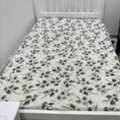 SAR 100, Single Bed 120cmX200cm With Mattress On Sale