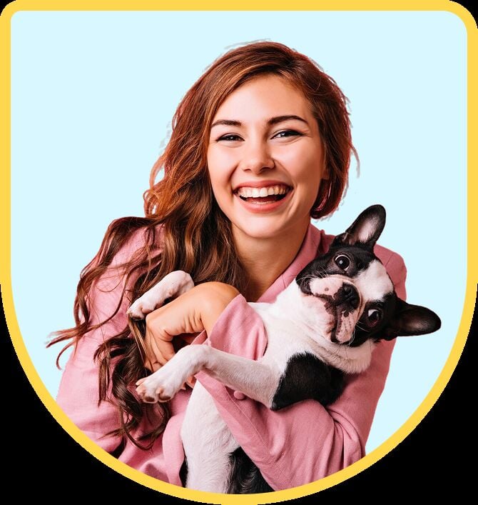 Bangalore, Pet Sitting, VR Animal 360 | Pet Training & Boarding In Bangalore