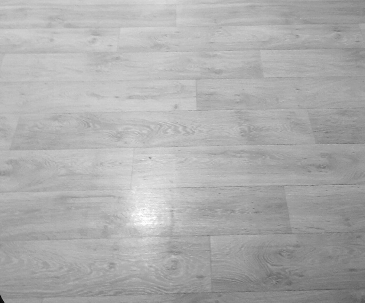 Riyadh, Household Items, SAR 300,  Indoor Carpet For Sale