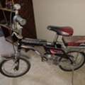 SAR 75,  Kids Cycle 4 To 6 Years For Sale