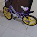 SAR 300250125,  Bike And Car