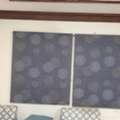 SAR 45,  Beautiful Blue Rose Print Floral Roller Blinds