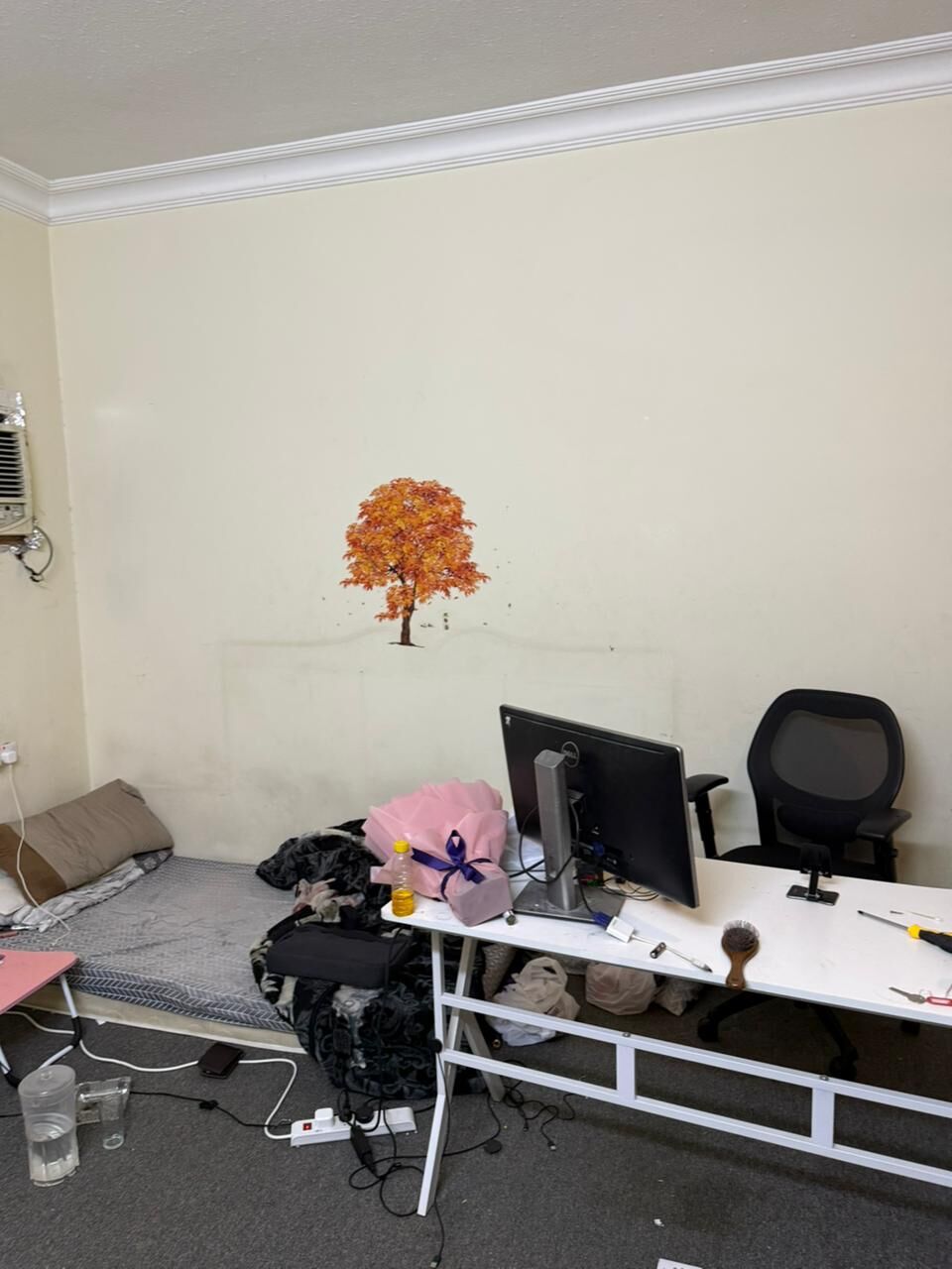 Al Aqeeq, Bedspace For Rent, Bedspace In An Executive Apartment - Al-Aqeeq (Golden Opportunity)