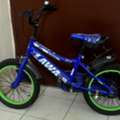 SAR 100,  Kids Bicycle - 16