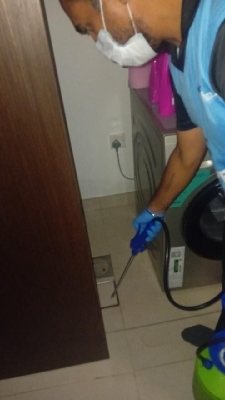 Dubai, Pest Control, Low Cost Office Pest Control Dubai 0525383175