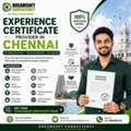 Get BGV-Ready Experience Certificates In Chennai