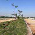 INR 35000,  150 Sq. Yard,  Premium Residential Plots In Adibatla Near TCS