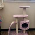 SAR 10,  Cat Tree (Small, Pink)