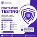 Professional Penetration Testing Services In UAE | EShield IT Services