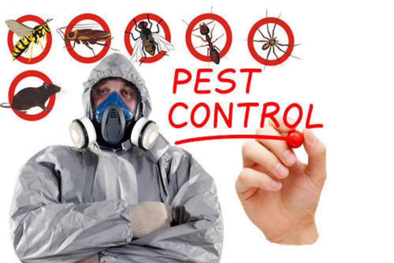 Khobar, Cleaning, Pest Control Services