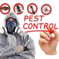 Pest Control Services