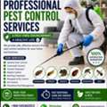 Pest Control Services Residential & Commercial, Cockroach, Termite & Rodent Control