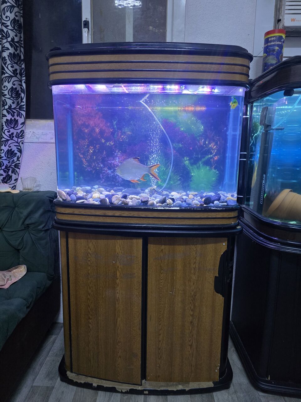 Hara, Pet Supplies, SAR 250,  Aquarium 300