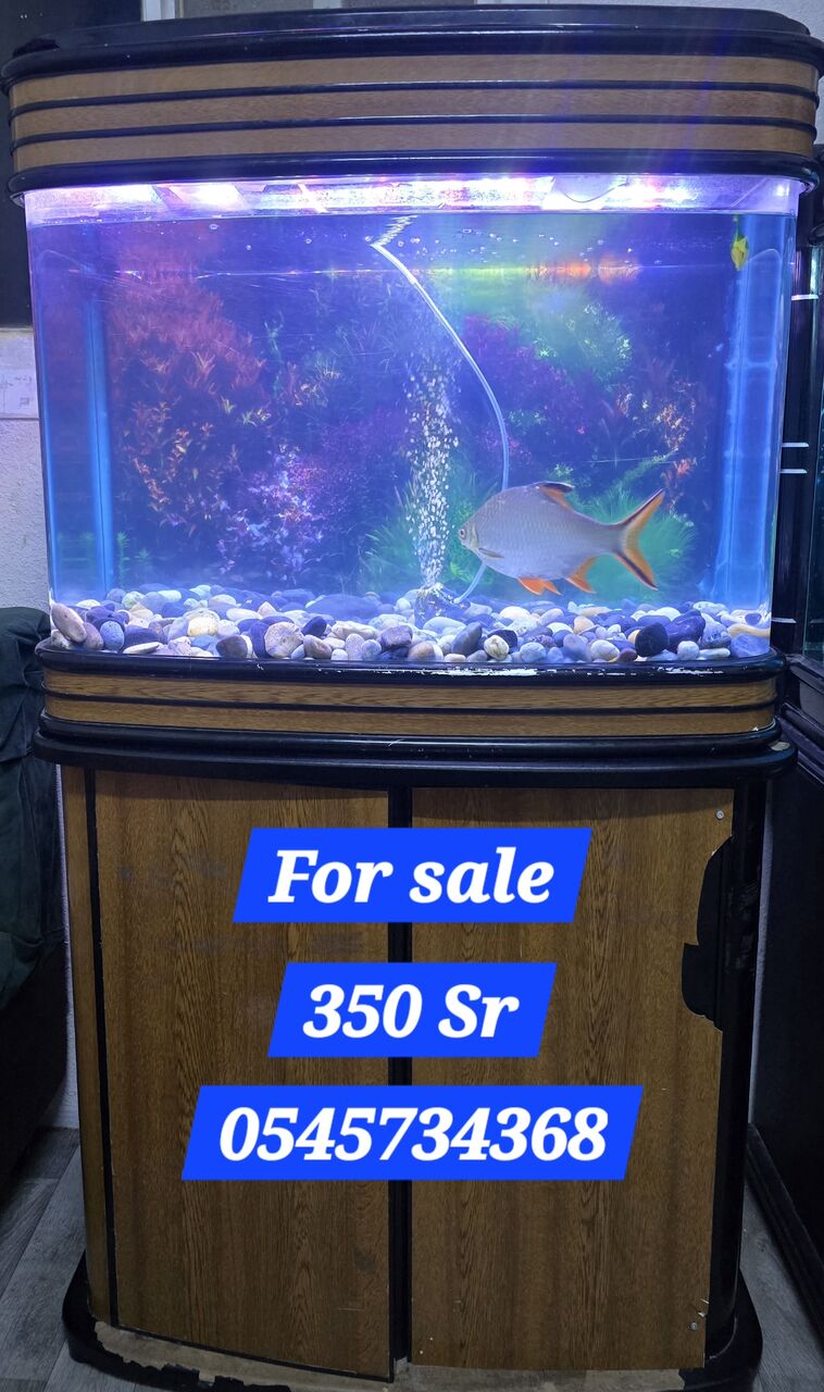 Hara, Pet Supplies, SAR 250,  Aquarium 300