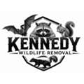 Kennedy Wildlife Removal