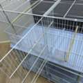 SAR 200, Birds Or Pets Cage, Accessories And Food For Sell