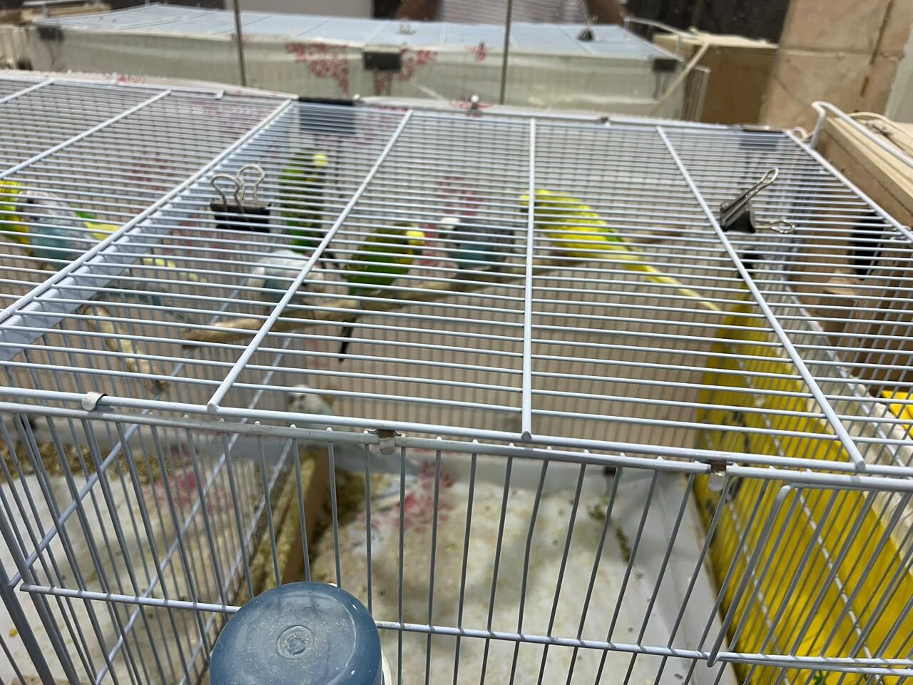 Riyadh, Pet Supplies, SAR 200,  Birds Or Pets Cage, Accessories And Food For Sell