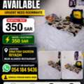 SAR 350/month,  Bed Space Available