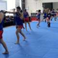 Top Guide About The Muay Thai Karate Classes Of AMAF Australia