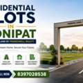 Residential Plots In Sonipat | Premium Land By Primedwell Realty