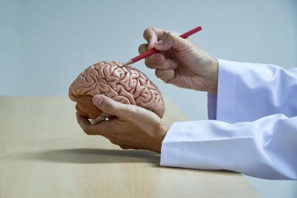 Chandigarh, Health, Best Neurosurgeon In Chandigarh