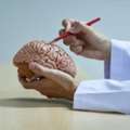 Best Neurosurgeon In Chandigarh