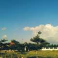 INR 29000,  250 Sq. Yard,  HMDA Gated Villa Plots Sale In Muchintal Gollur Near Pedda Golkonda ORR 15