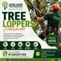 Professional Tree Loppers Adelaide | Safe & Reliable Tree Services
