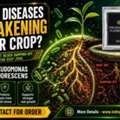 USD 50,  Crop Loss Starting Below The Soil? Use Pseudomonas Fluorescens &ndash; Contact For Order