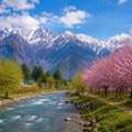 Best Time To Travel To Kashmir For Snowfall Lovers