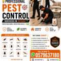 🔰 🏆 RAWAD Pest Control Experts 🏆 🐜🚫 Riyadh's Trusted Pest Control Service