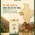 INR 699,  Buy Pure A2 Gir Cow Ghee Online | Satvik Ghee