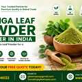 Looking For A Trusted Moringa Leaf Powder Exporter In India?
