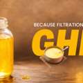 INR 400000,  Looking For A Self-Cleaning Filter For Ghee Manufacturing?
