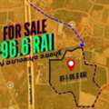 THB 202500000,  6 BR,  32596 Sq. Feet,  Land For Sale 81-1-96.6 Rai, Huai Yai Subdistrict, Bang Lamung District, Chonburi
