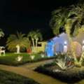 LED Landscape Lighting Coral Gables