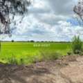 THB 34000000,  6 BR,  16090 Sq. Feet,  Land For Sale 40-0-90 Rai Near Prime Golf Course. The Price Of The Rai Is Less Than A