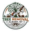 Tree Removal Albany NY