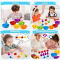 Professional Reggio Emilia Classroom Resources