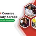 STEM Courses To Study Abroad | Study In Italy | Yes Italy