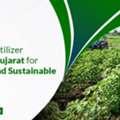INR 01,  Liquid Crop Nutrition Provider In Vadodara | Imperialagro