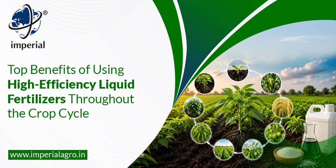 Ahmedabad, Materials, INR 01,  Industrial Liquid Fertilizers Supplier In Gujarat | Imperialagro