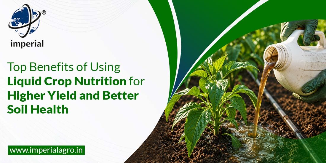 Mumbai, Farm & Garden, INR 01,  Precision Agriculture Fertilizers Distributor In India | Imperialagro