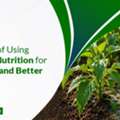 INR 01,  Precision Agriculture Fertilizers Distributor In India | Imperialagro