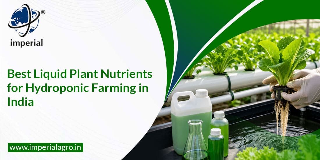 Mumbai, Farm & Garden, INR 01,  Magnesium Thiosulphate For Vegetables | Imperialagro