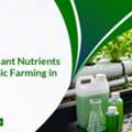 INR 01,  Magnesium Thiosulphate For Vegetables | Imperialagro