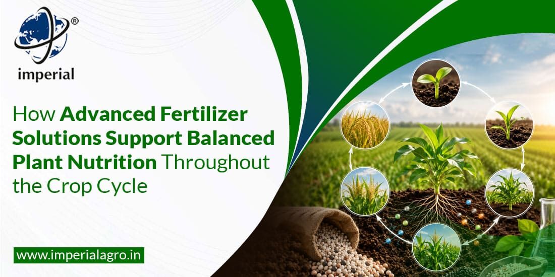 Mumbai, Farm & Garden, INR 01,  Magnesium Thiosulphate For Vegetables | Imperialagro