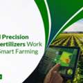 INR 01,  Magnesium Thiosulphate For Drip Irrigation | Imperialagro