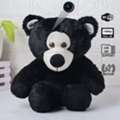 INR 9999,  Buy Hidden Soft Toy Spy Cameras From Leading Spy Camera Dealers In Noida