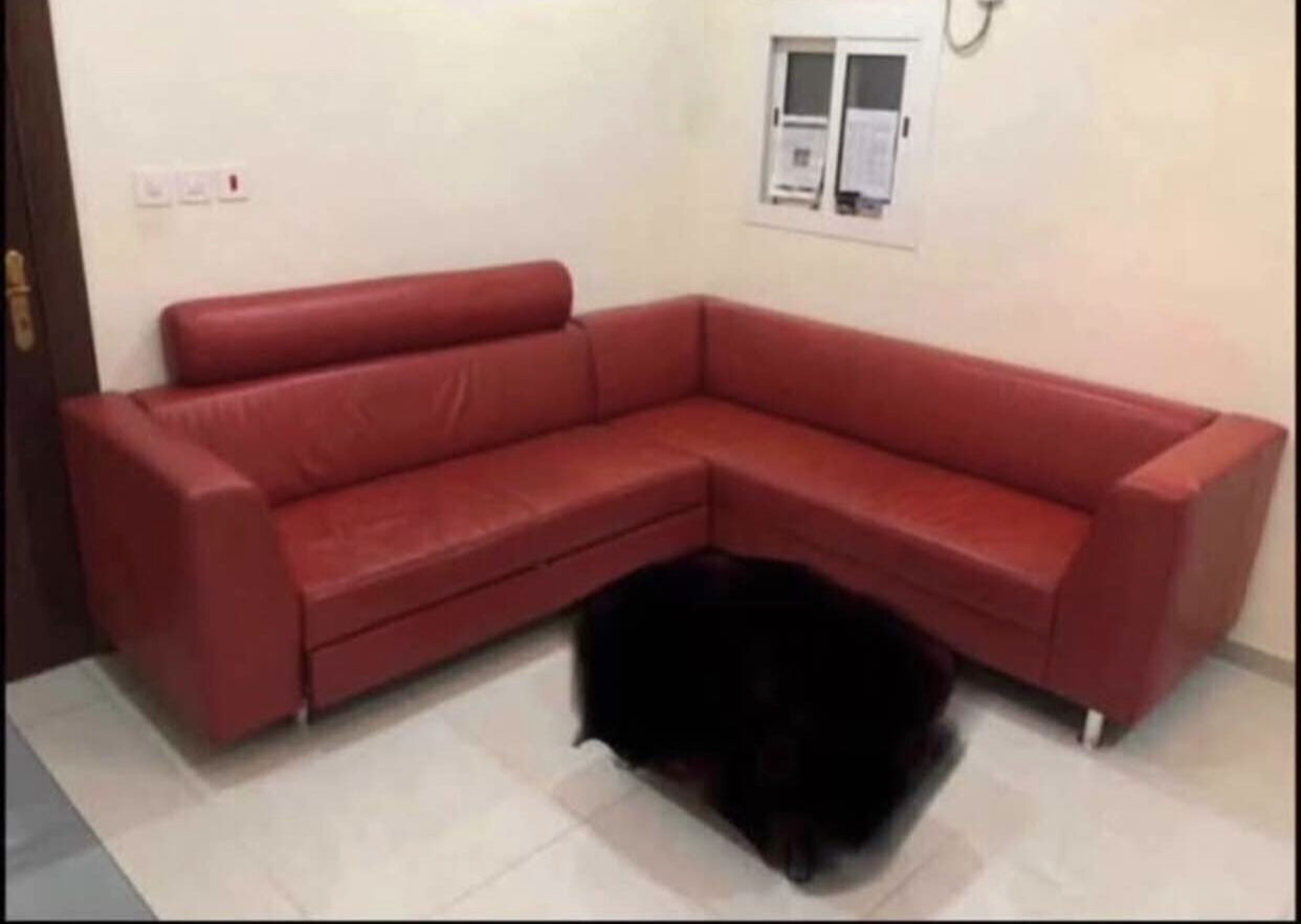 Al Aziziyah, Furniture, SAR 450,  Leather Sofa